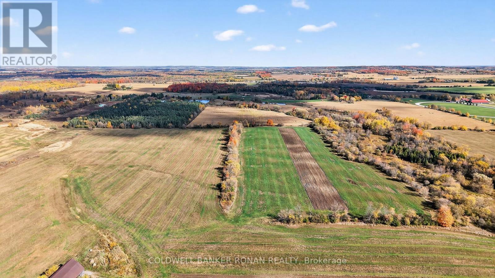 3142 County Rd 50, Adjala-Tosorontio, Ontario  L0G 1L0 - Photo 21 - N12476438