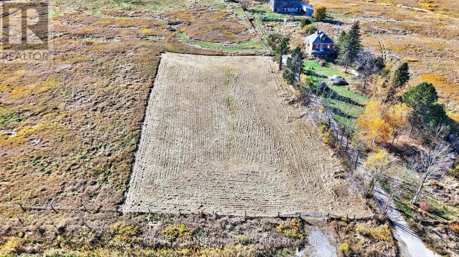 3142 County Rd 50, Adjala-Tosorontio, Ontario  L0G 1L0 - Photo 3 - N12476438