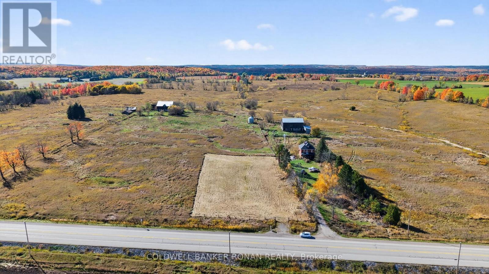 3142 County Rd 50, Adjala-Tosorontio, Ontario  L0G 1L0 - Photo 4 - N12476438