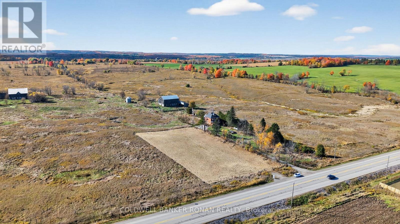 3142 County Rd 50, Adjala-Tosorontio, Ontario  L0G 1L0 - Photo 7 - N12476438