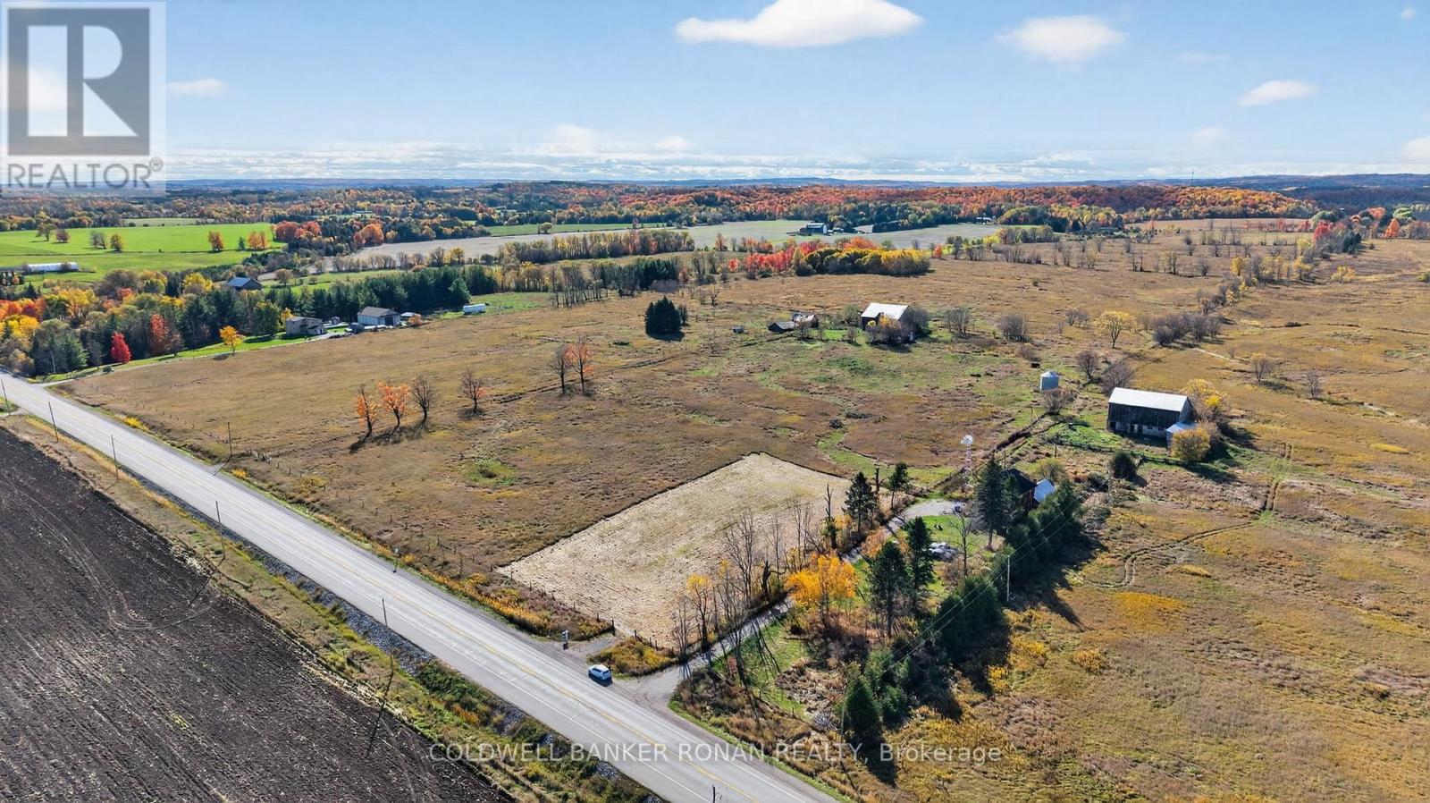 3142 County Rd 50, Adjala-Tosorontio, Ontario  L0G 1L0 - Photo 8 - N12476438