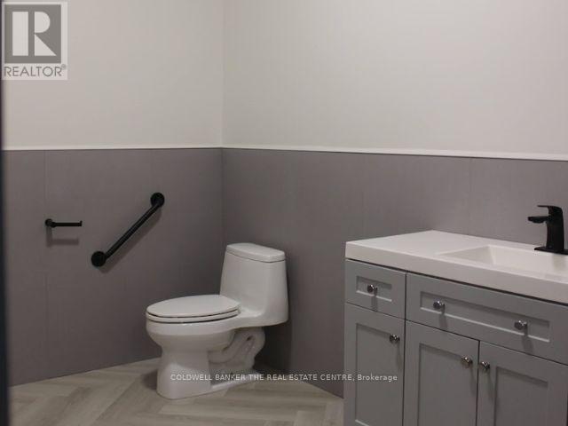 Basement - 431 Davis Drive, Newmarket, Ontario  L3Y 2P1 - Photo 11 - N12476443