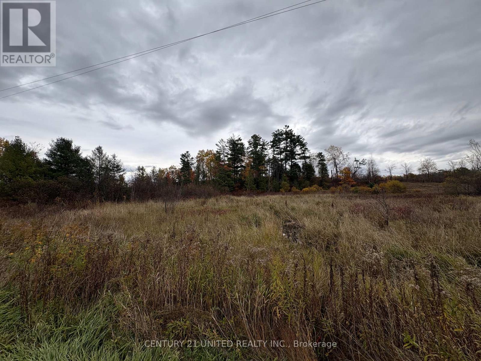 0 Godolphin Road, Trent Hills, Ontario K0K 3K0 - Photo 1 - X12476538