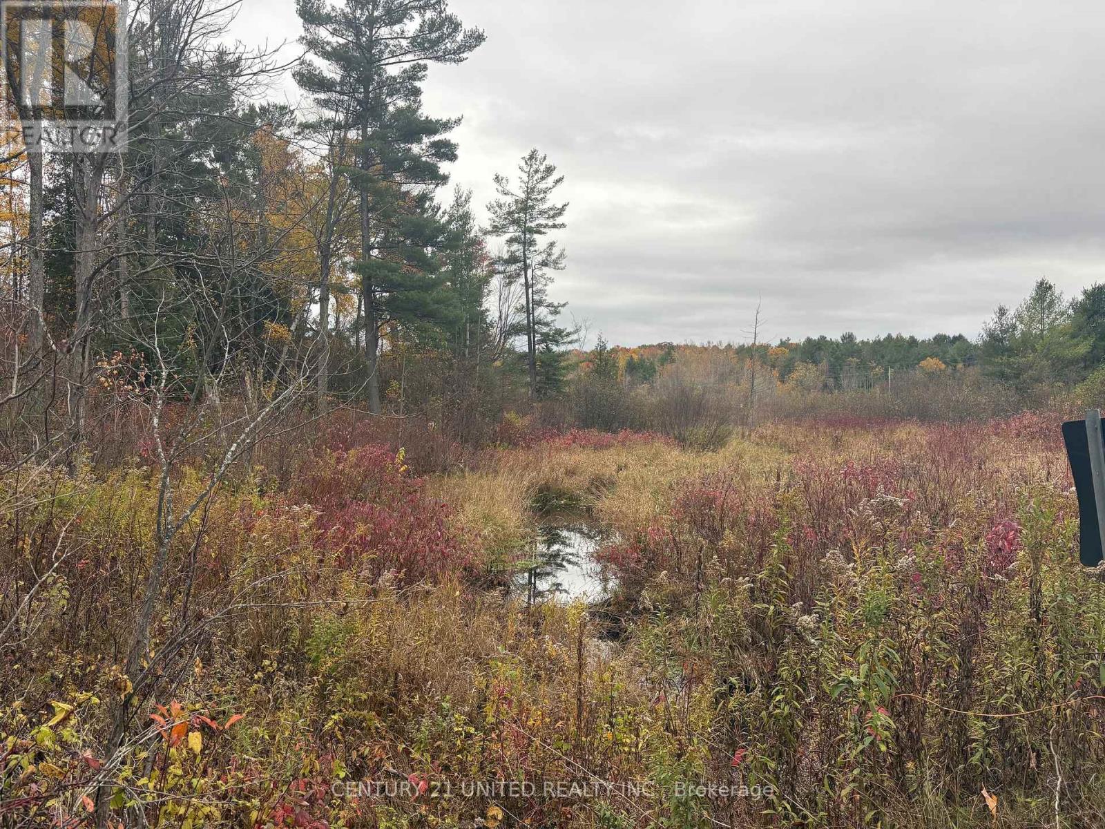 0 Godolphin Road, Trent Hills, Ontario K0K 3K0 - Photo 10 - X12476538