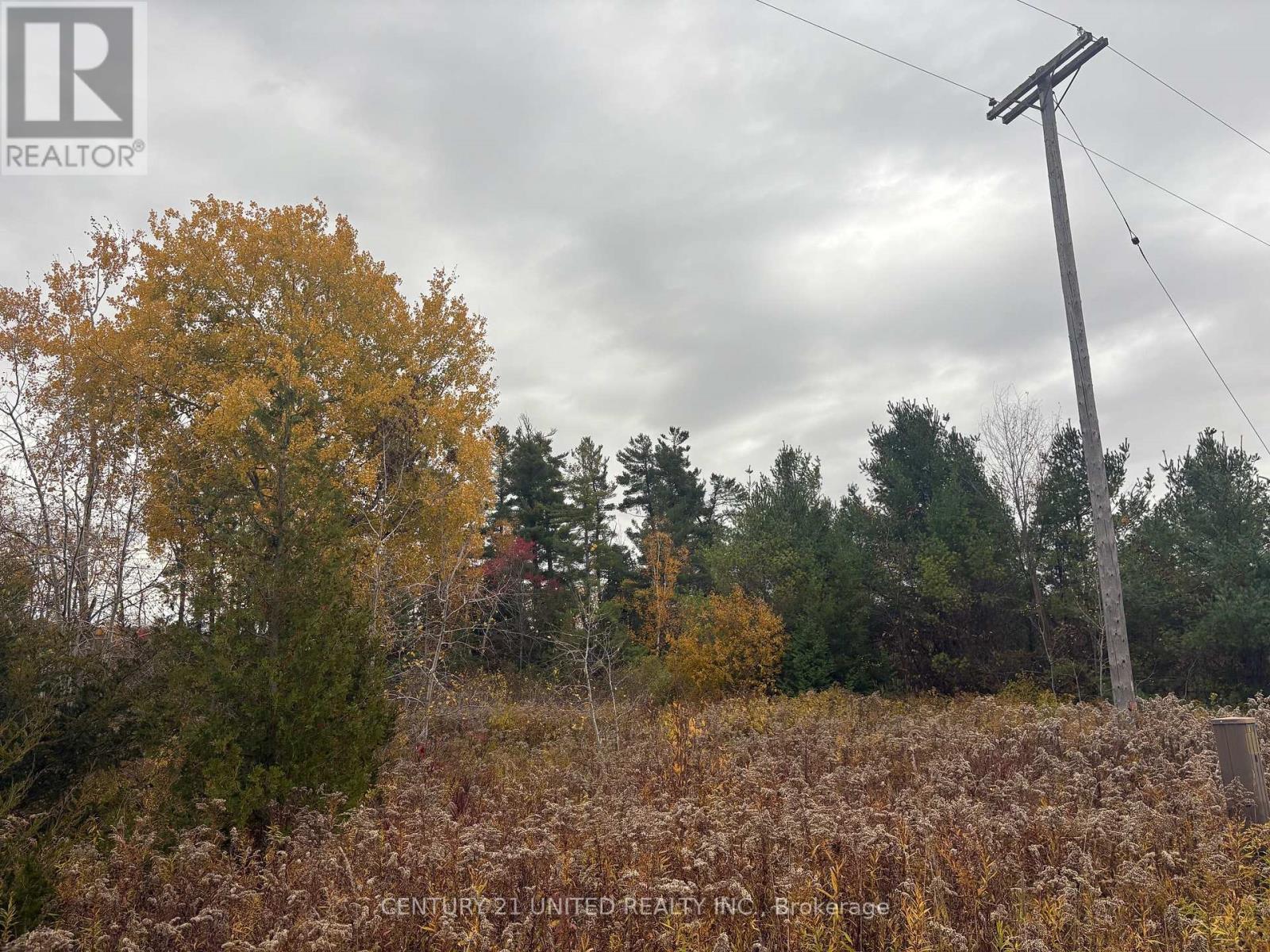 0 Godolphin Road, Trent Hills, Ontario K0K 3K0 - Photo 2 - X12476538