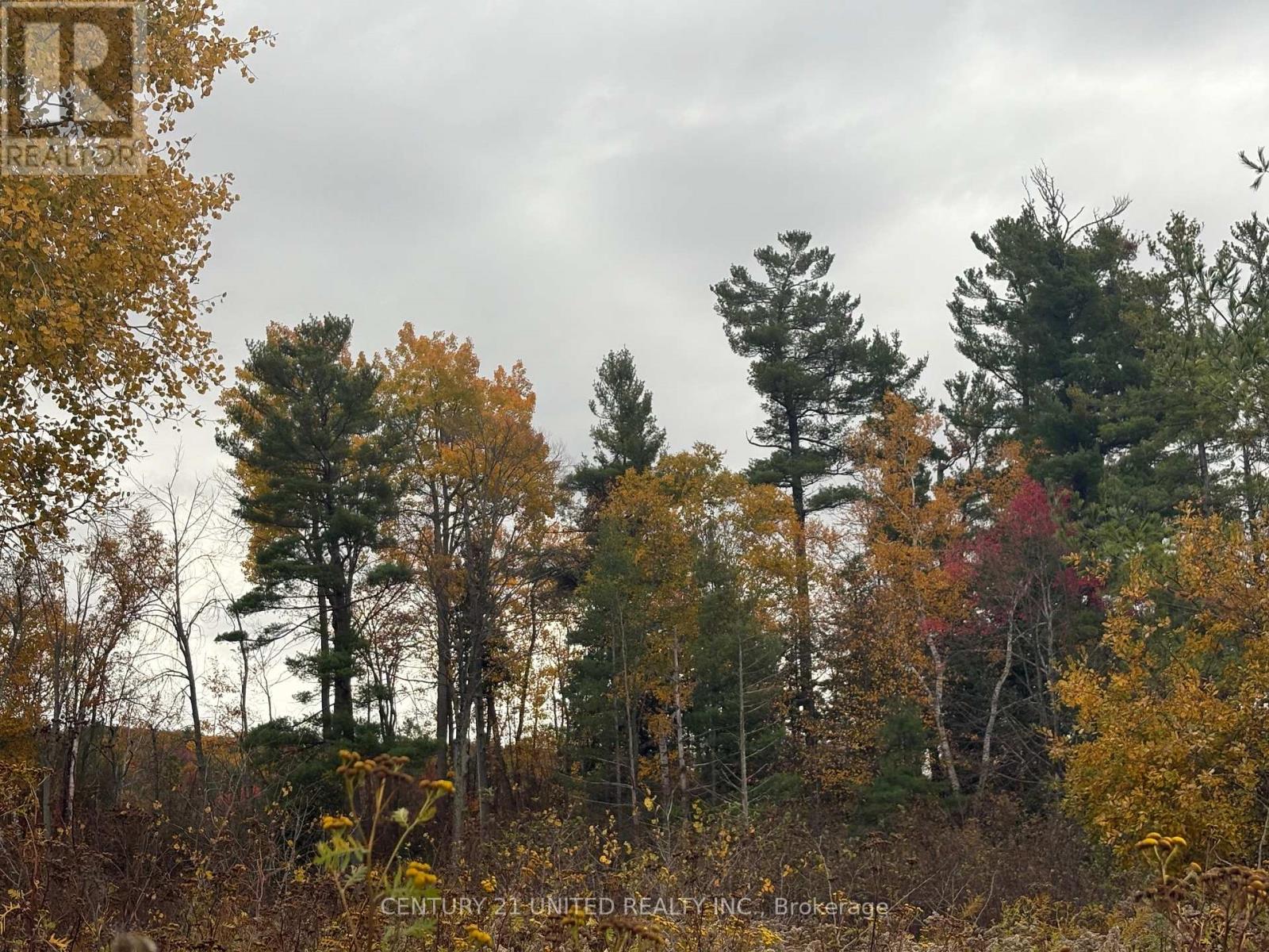 0 Godolphin Road, Trent Hills, Ontario K0K 3K0 - Photo 3 - X12476538