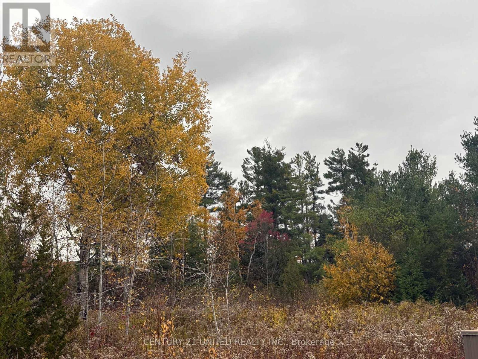 0 Godolphin Road, Trent Hills, Ontario K0K 3K0 - Photo 4 - X12476538