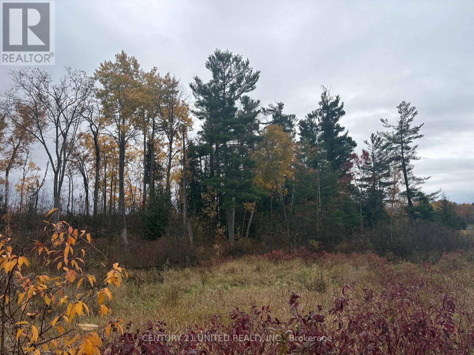 0 Godolphin Road, Trent Hills, Ontario K0K 3K0 - Photo 5 - X12476538