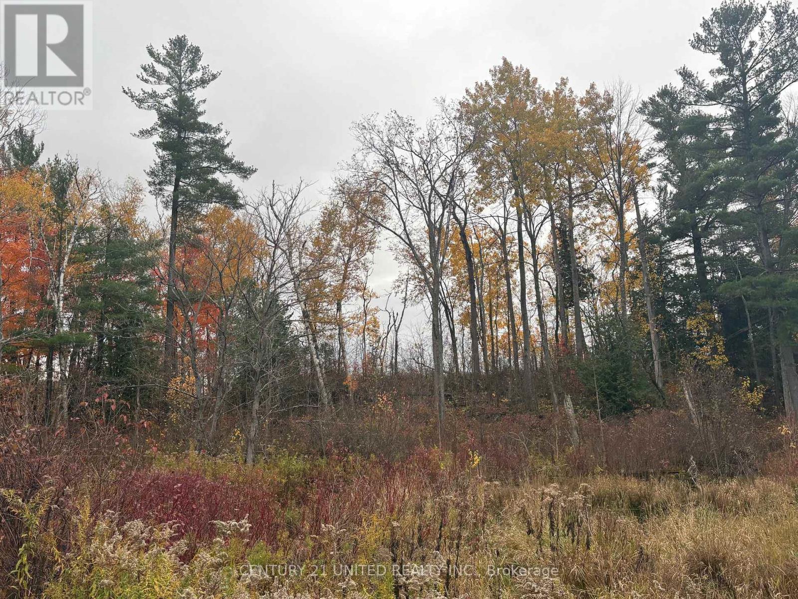 0 Godolphin Road, Trent Hills, Ontario K0K 3K0 - Photo 6 - X12476538