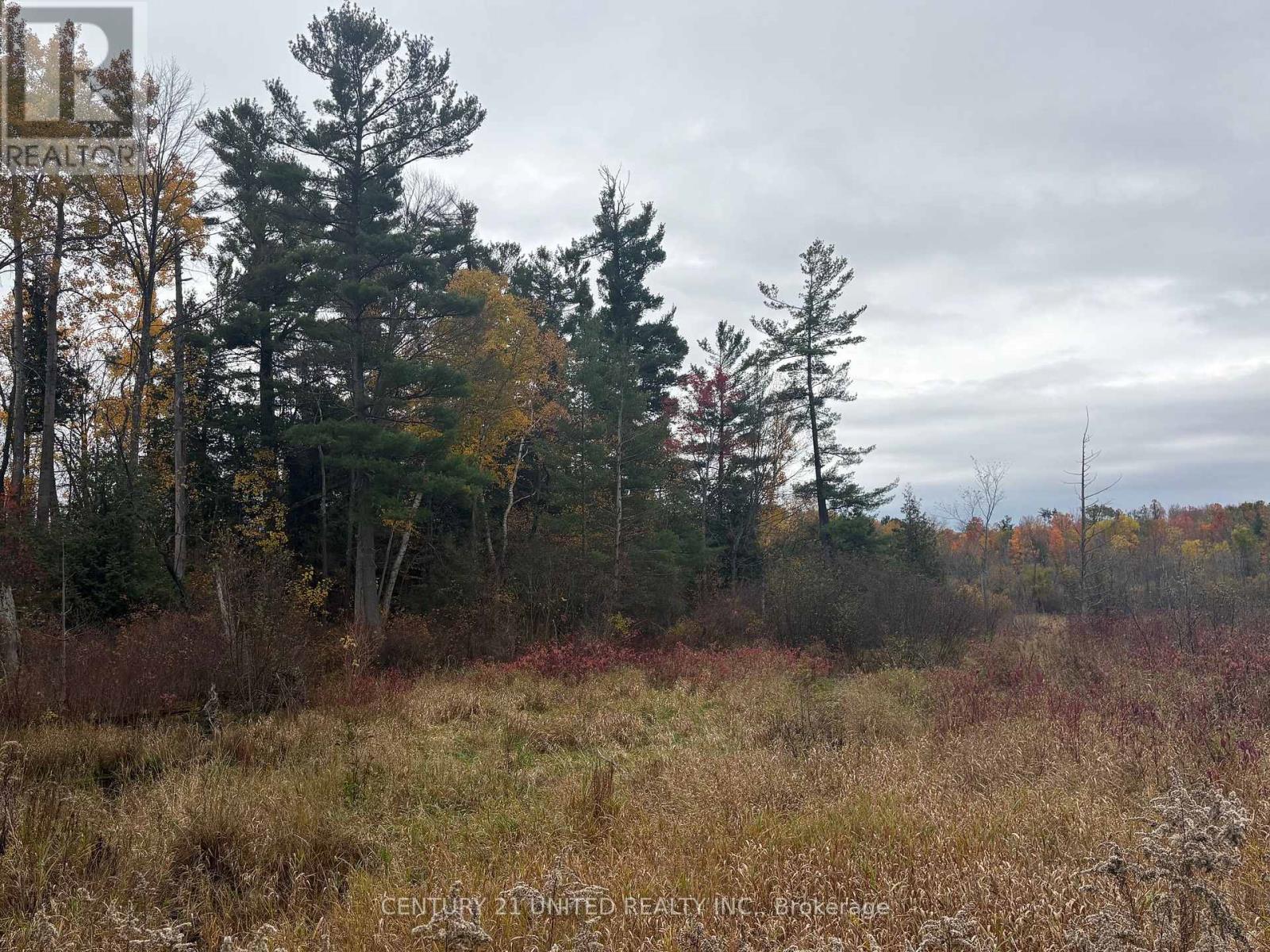 0 Godolphin Road, Trent Hills, Ontario K0K 3K0 - Photo 7 - X12476538