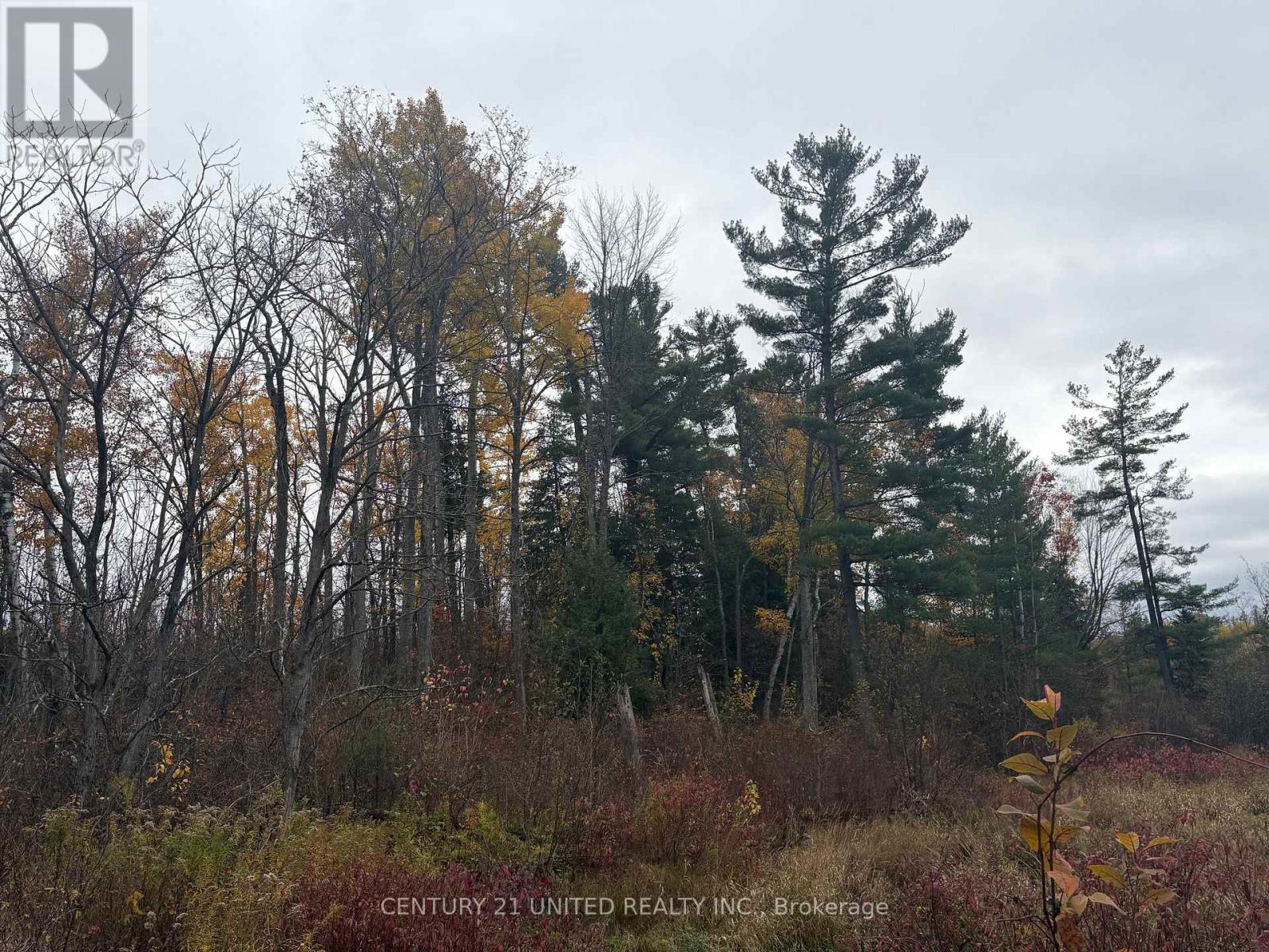 0 Godolphin Road, Trent Hills, Ontario K0K 3K0 - Photo 8 - X12476538