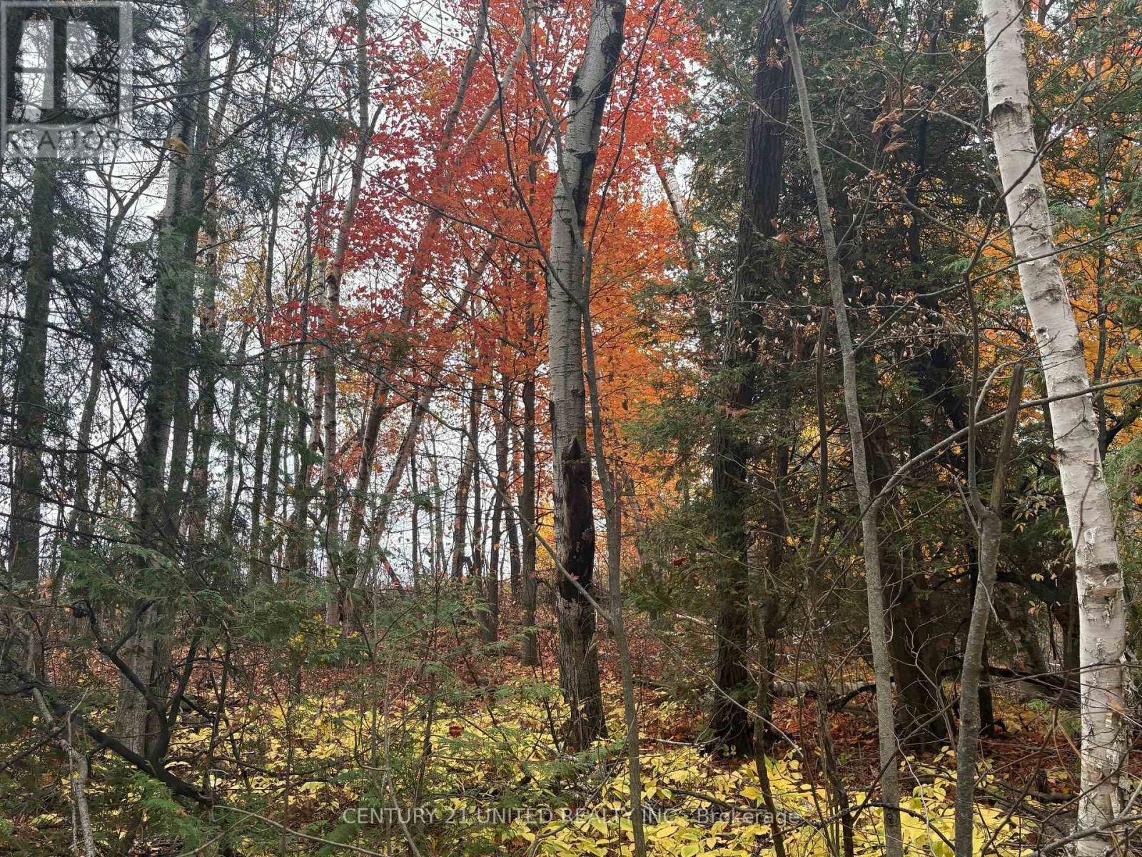 0 Godolphin Road, Trent Hills, Ontario K0K 3K0 - Photo 9 - X12476538