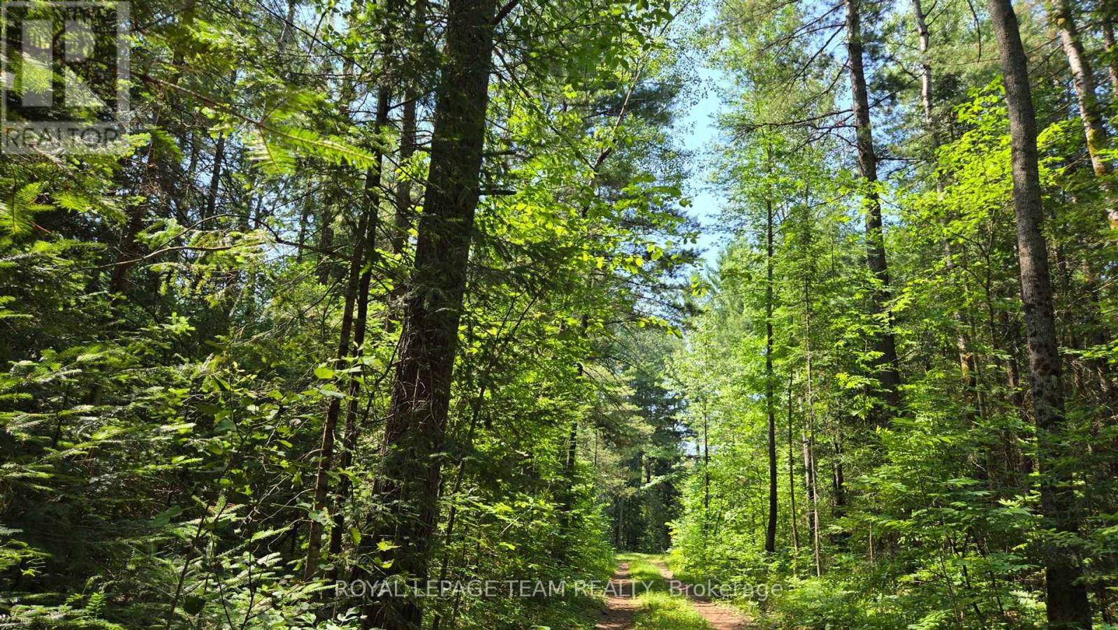 00 Highway 41 Highway, Bonnechere Valley, Ontario K0J 1T0 - Photo 7 - X12281701