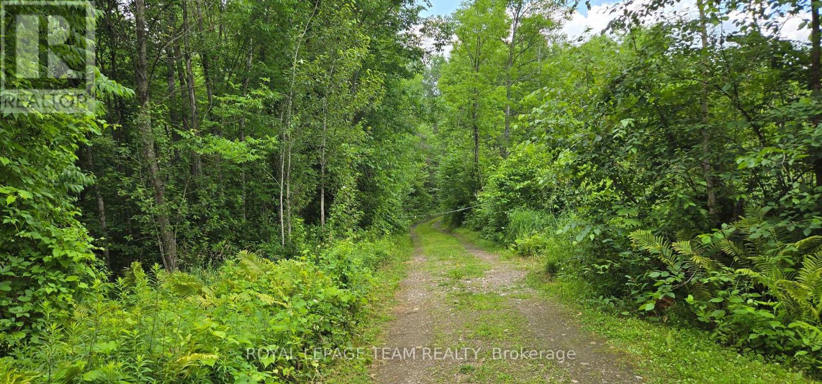 00 Highway 41 Highway, Bonnechere Valley, Ontario K0J 1T0 - Photo 4 - X12281701