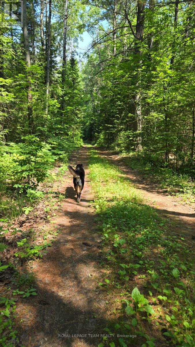 00 Highway 41 Highway, Bonnechere Valley, Ontario K0J 1T0 - Photo 8 - X12281701