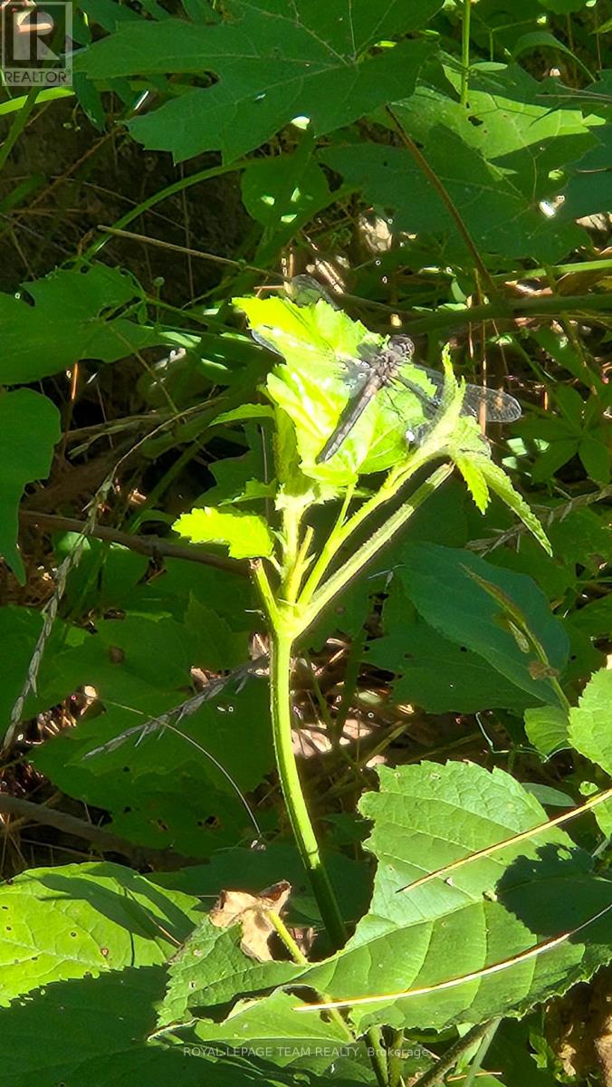 00 Highway 41 Highway, Bonnechere Valley, Ontario K0J 1T0 - Photo 27 - X12281701