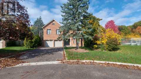 26 Hacienda Court, Brampton, Ontario  L6Z 3J1 - Photo 3 - W12348242
