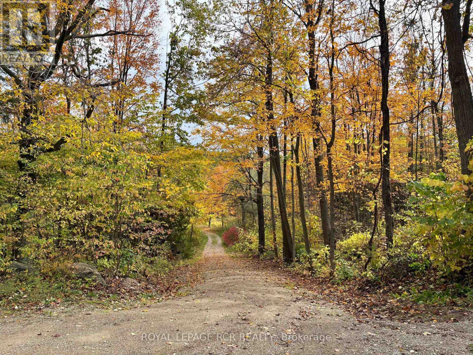 757186 2nd Line E, Mulmur, Ontario  L9V 0G7 - Photo 2 - X12323726