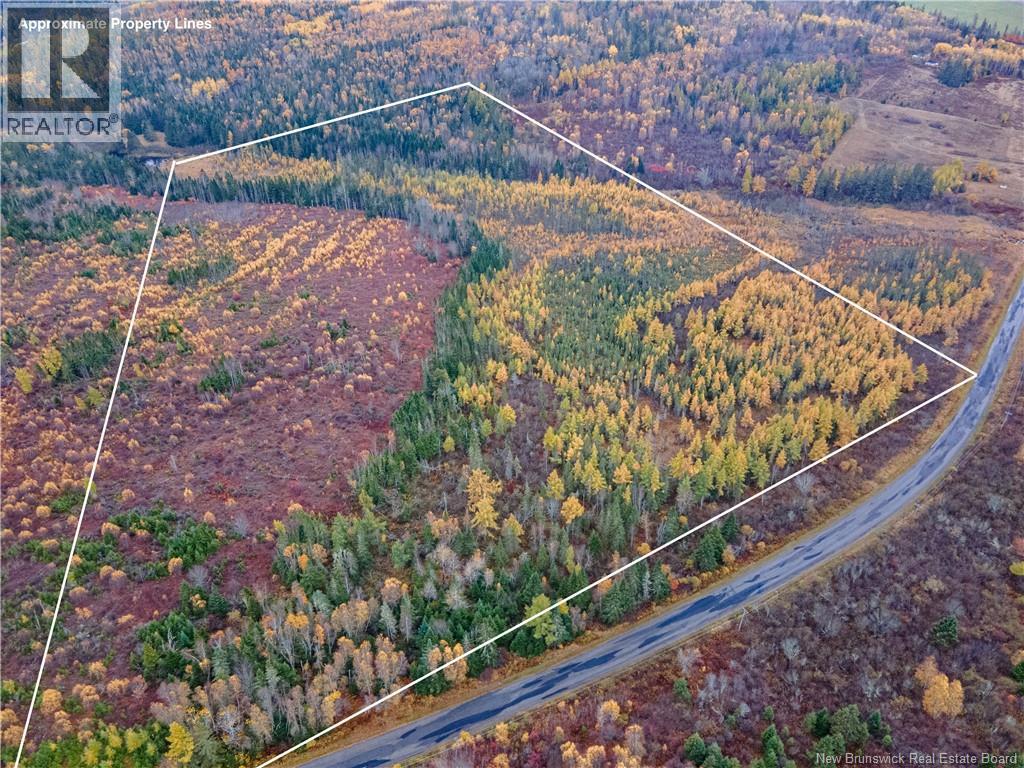 Lot Poodiac, Poodiac, New Brunswick  E4E 4H5 - Photo 1 - NB128979