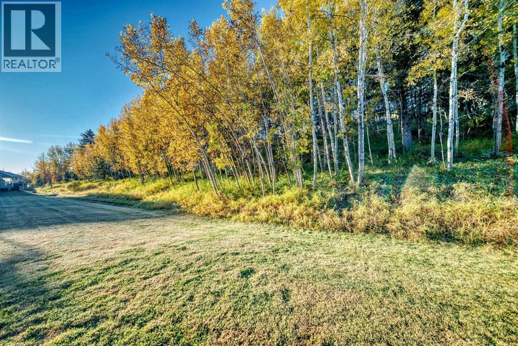 155 Crawford Drive, Cochrane, Alberta  T4C 2G7 - Photo 27 - A2262858