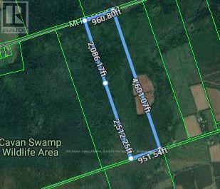 0 Mount Pleasant Road, Cavan Monaghan, Ontario  L0A 1C0 - Photo 2 - X12476580