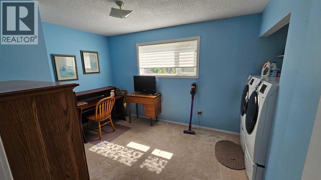 5006 55 Avenue, Castor, Alberta  T0C 0X0 - Photo 27 - A2252557