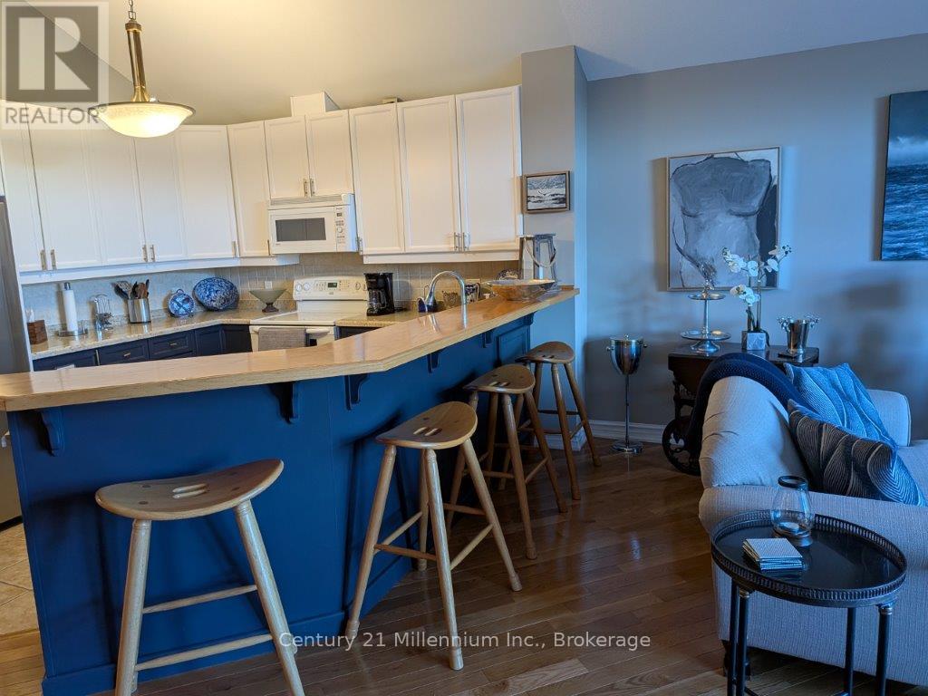 39 Westwind Drive, Collingwood, Ontario  L9Y 5J1 - Photo 12 - S12476687