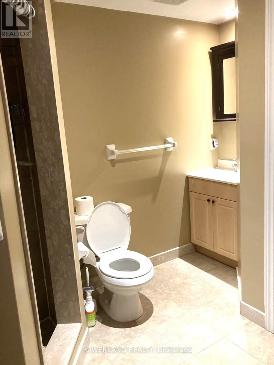 Basement - 18 Sandfield Drive, Aurora, Ontario  L4G 6R6 - Photo 12 - N12476539