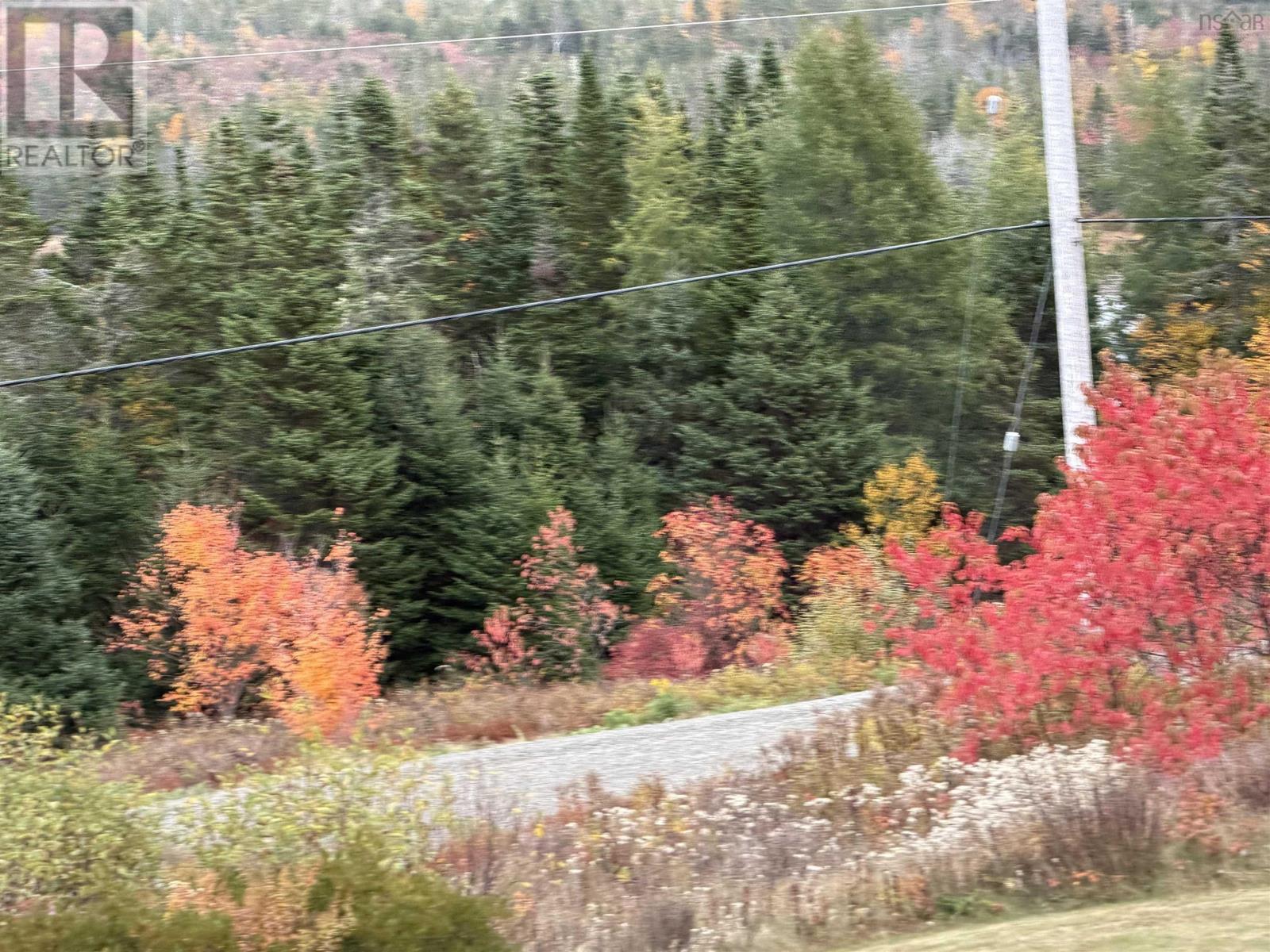 7900 Upper Grand Mira Road, Grand Mira North, Nova Scotia  B1K 1L9 - Photo 11 - 202526374