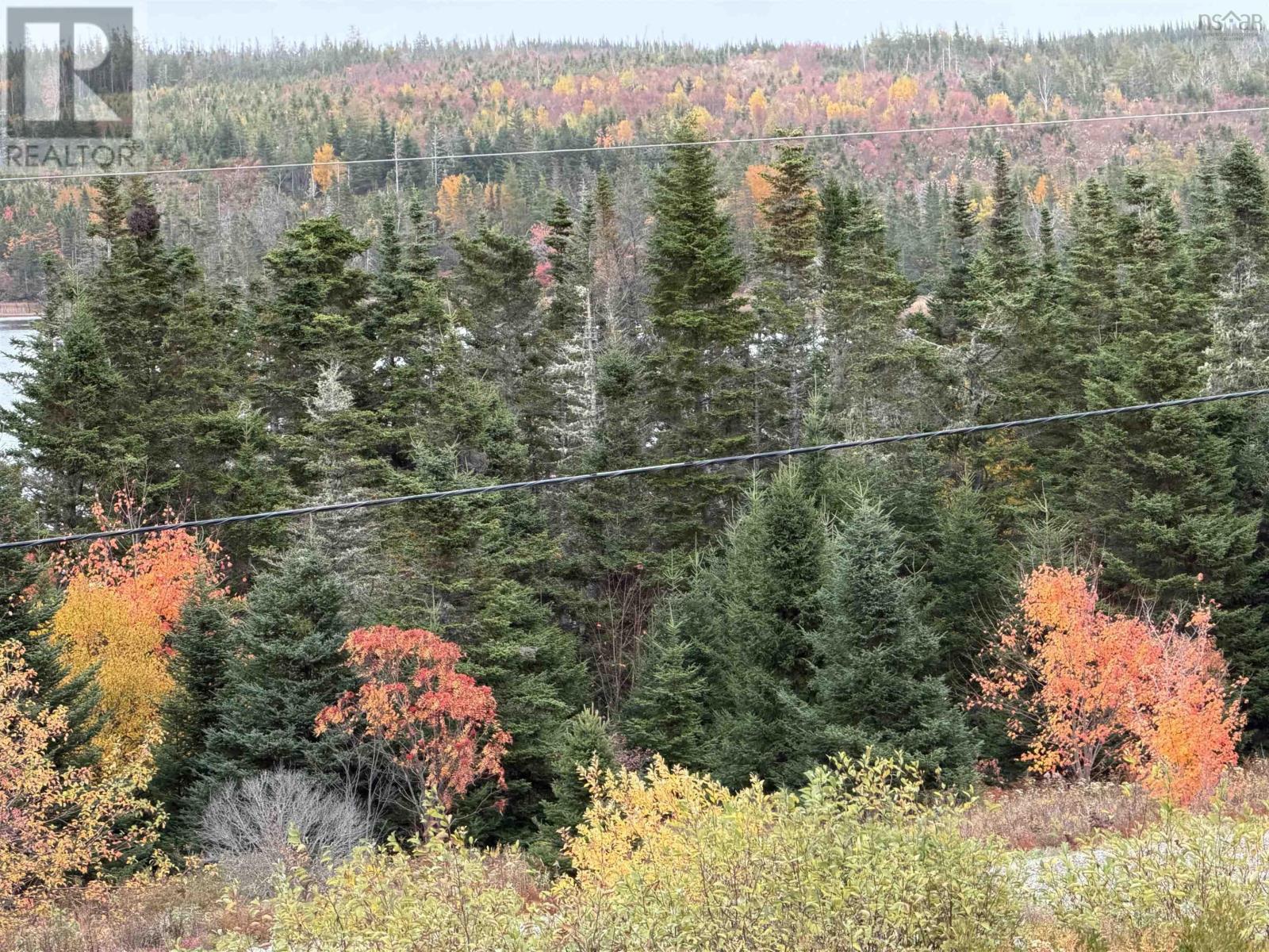 7900 Upper Grand Mira Road, Grand Mira North, Nova Scotia  B1K 1L9 - Photo 12 - 202526374