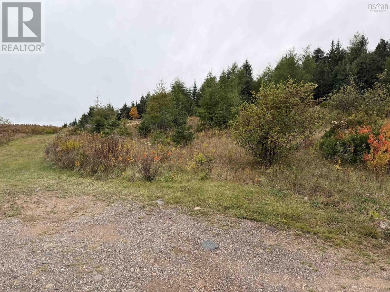 7900 Upper Grand Mira Road, Grand Mira North, Nova Scotia  B1K 1L9 - Photo 14 - 202526374