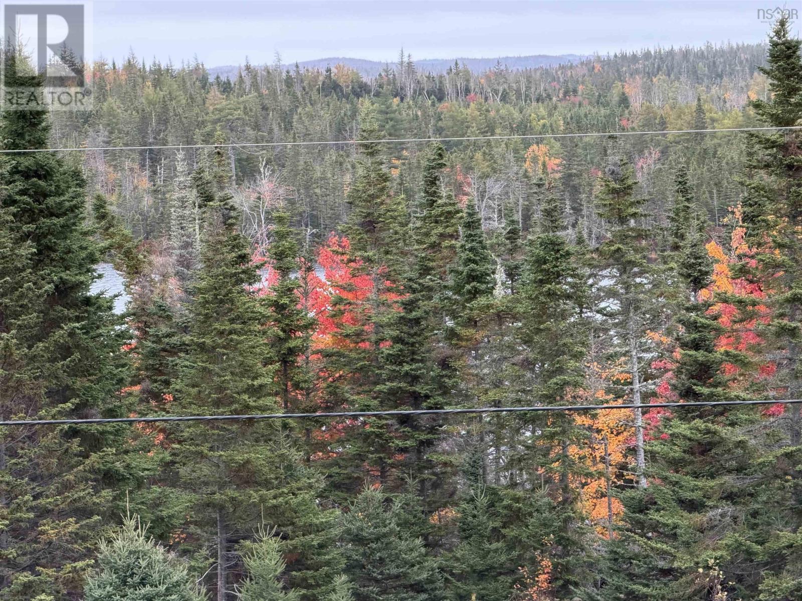 7900 Upper Grand Mira Road, Grand Mira North, Nova Scotia  B1K 1L9 - Photo 8 - 202526374