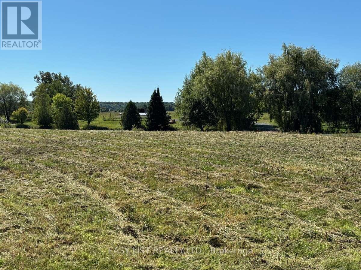 Lot 26 Principale Street, Alfred And Plantagenet, Ontario  K0A 3K0 - Photo 10 - X12476806