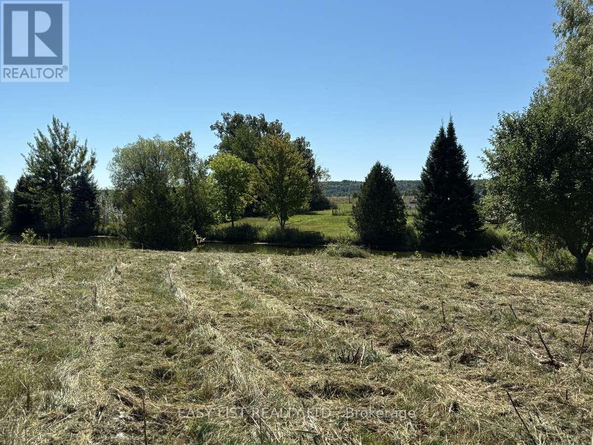 Lot 26 Principale Street, Alfred And Plantagenet, Ontario  K0A 3K0 - Photo 13 - X12476806