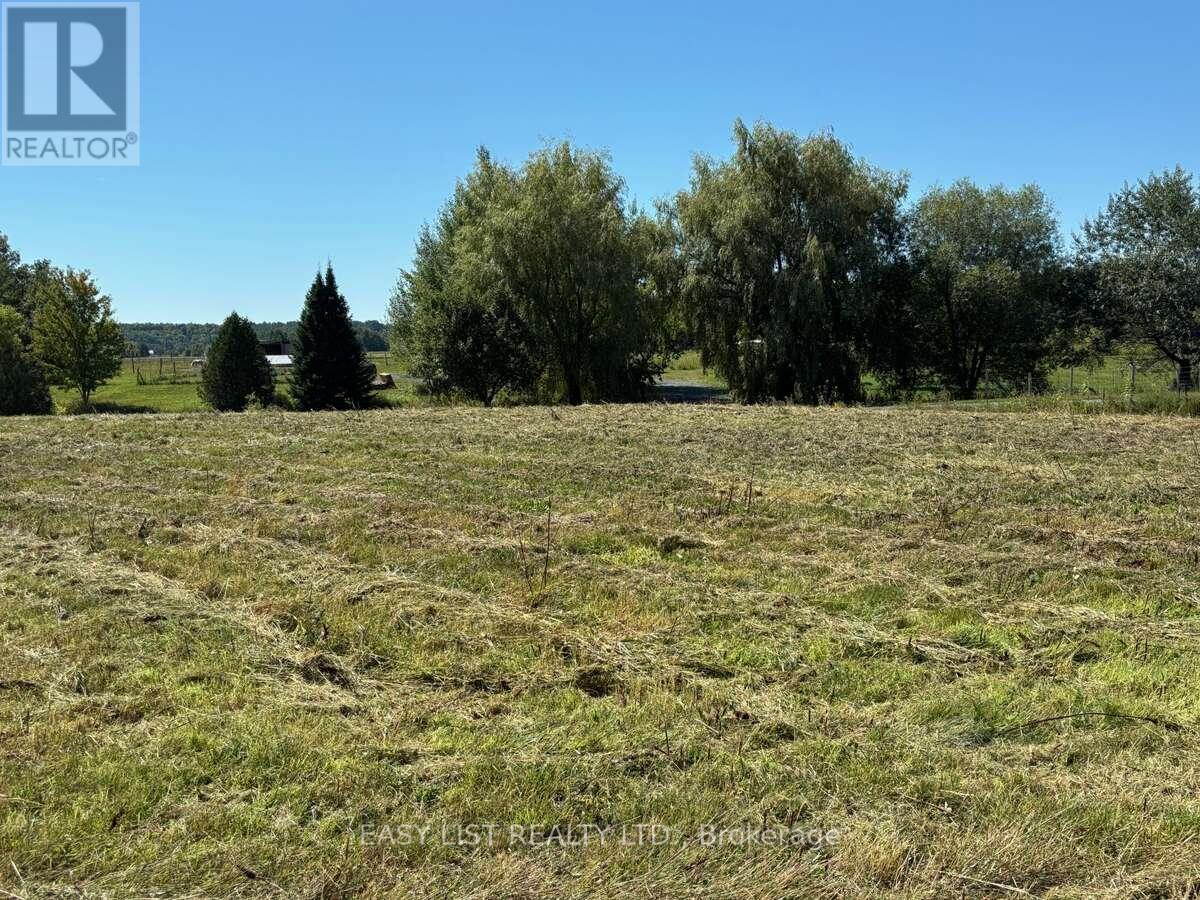 Lot 26 Principale Street, Alfred And Plantagenet, Ontario  K0A 3K0 - Photo 7 - X12476806