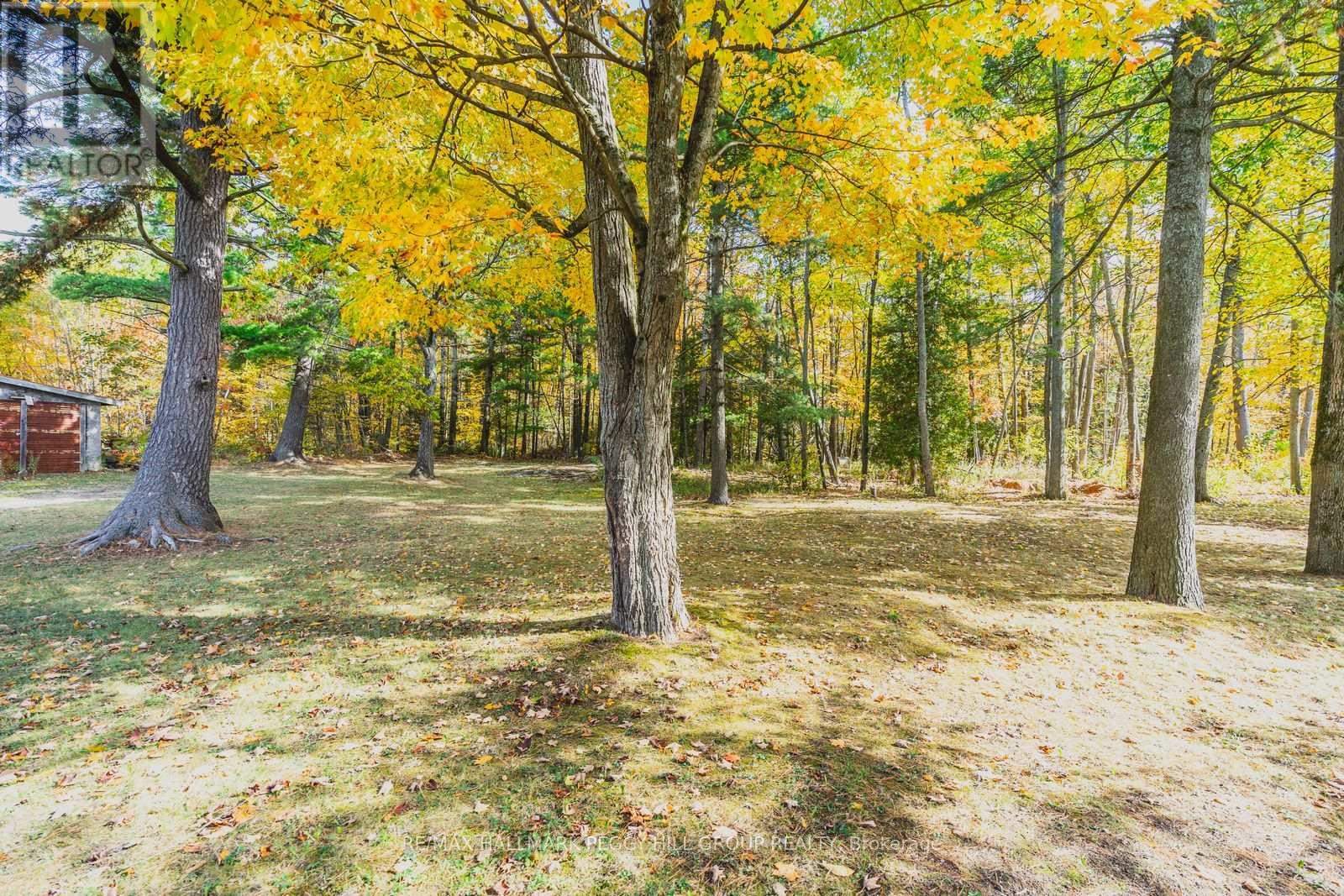 332 Baxter Loop Road, Georgian Bay, Ontario  L0K 1S0 - Photo 14 - X12476722