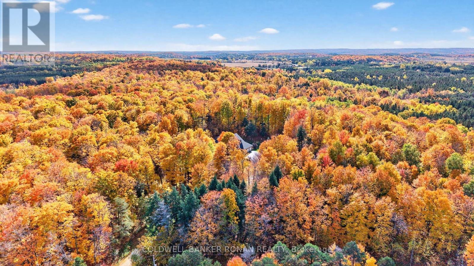 7501 5th Side Road, Adjala-Tosorontio, Ontario  L0G 1W0 - Photo 45 - N12409888