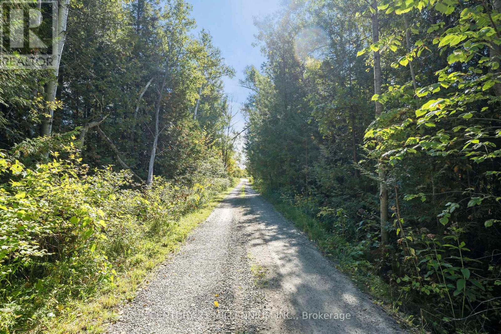 9639 Wellington Rd 22 Road, Erin, Ontario  N0B 1T0 - Photo 7 - X12476752