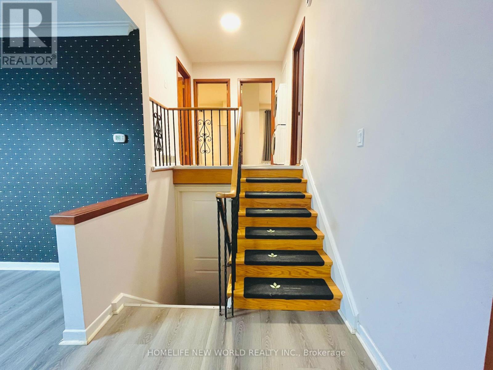 Ground - 49 Mckee Avenue, Toronto, Ontario  M2N 4C1 - Photo 9 - C12476885