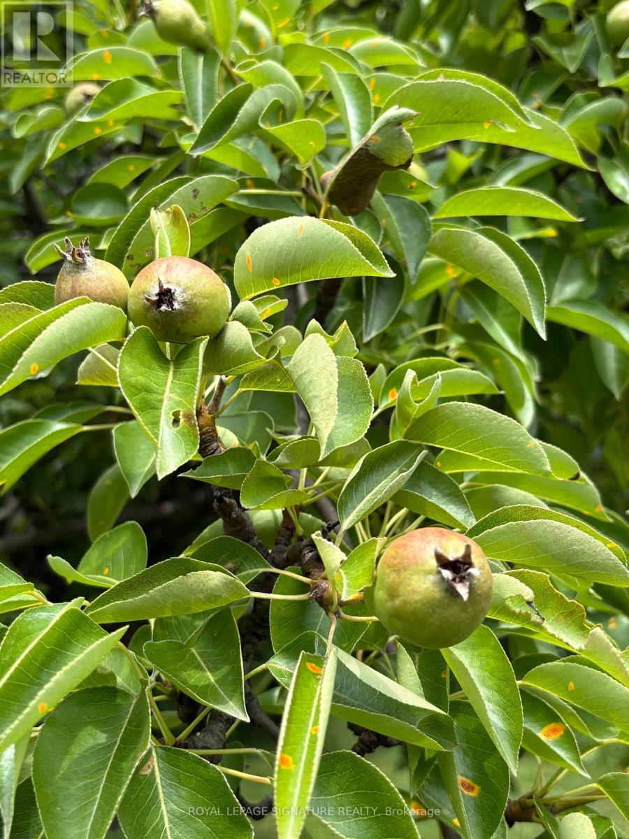 Property at 4097 HICKORY DRIVE image 5