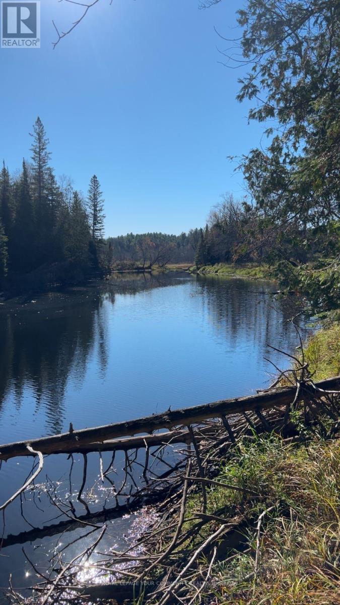 Con 1 Lot 4, Hastings Highlands (Monteagle Ward), Ontario  K0L 2S0 - Photo 8 - X12224578