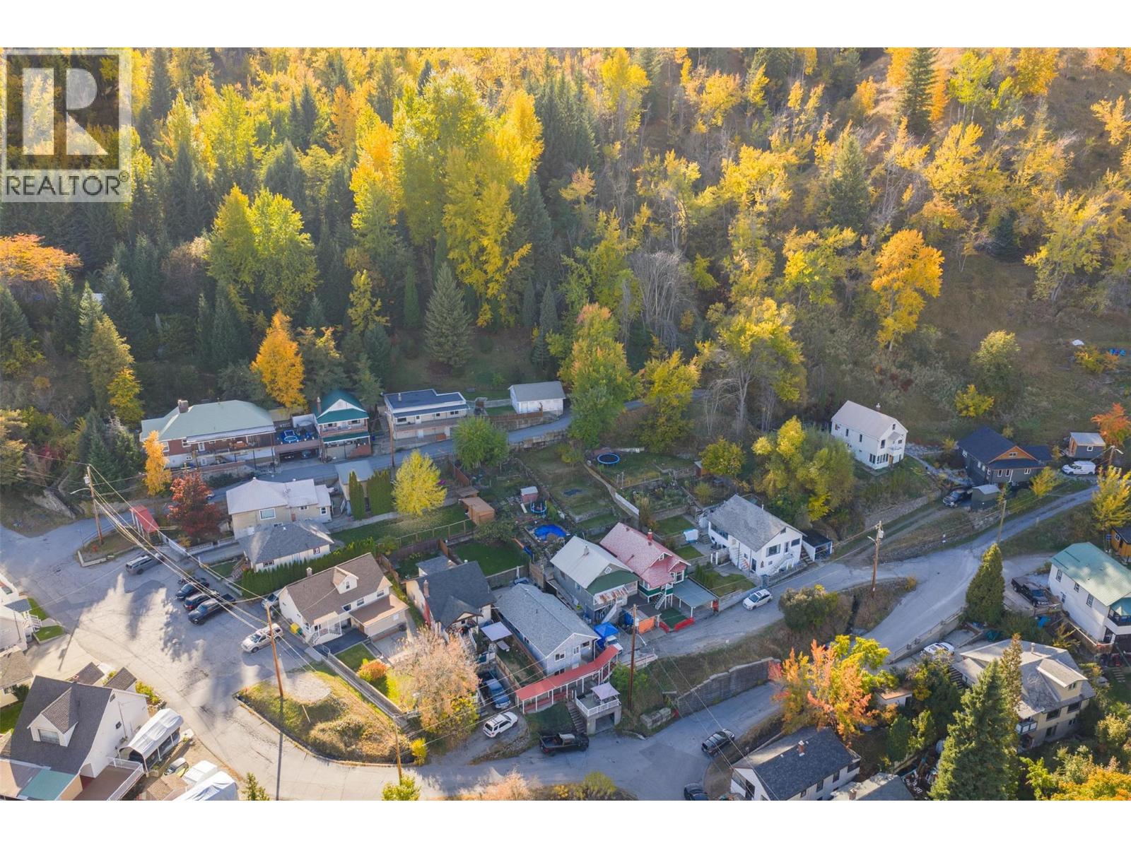 680 Hendry Street, Trail, British Columbia  V1R 3J3 - Photo 44 - 10366548