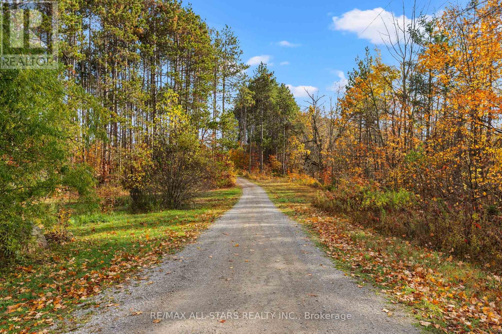 485 Burnt River Road, Kawartha Lakes, Ontario  K0M 1C0 - Photo 31 - X12475393