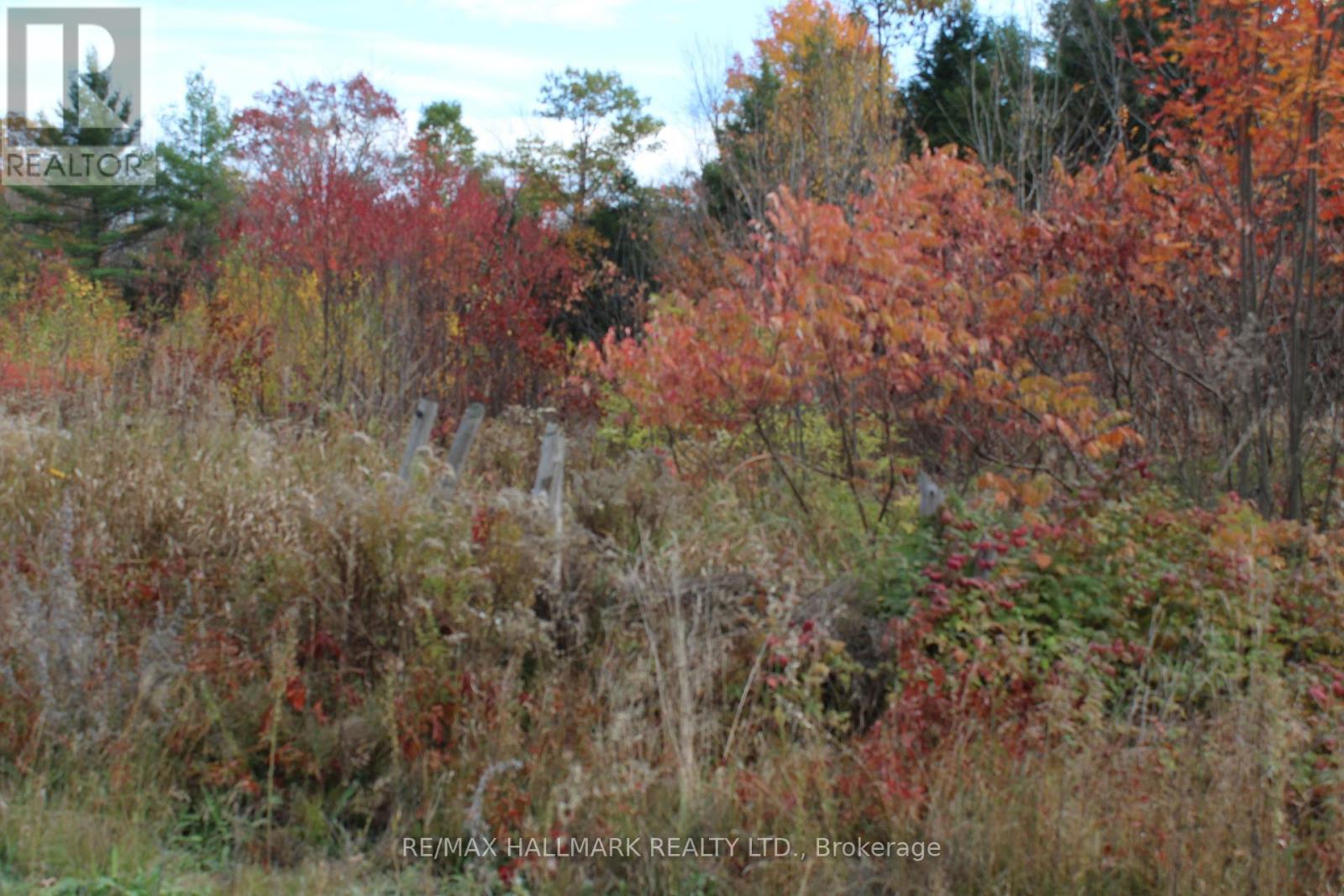 2269 Henderson Road, Frontenac, Ontario  K0H 1B0 - Photo 44 - X12473503