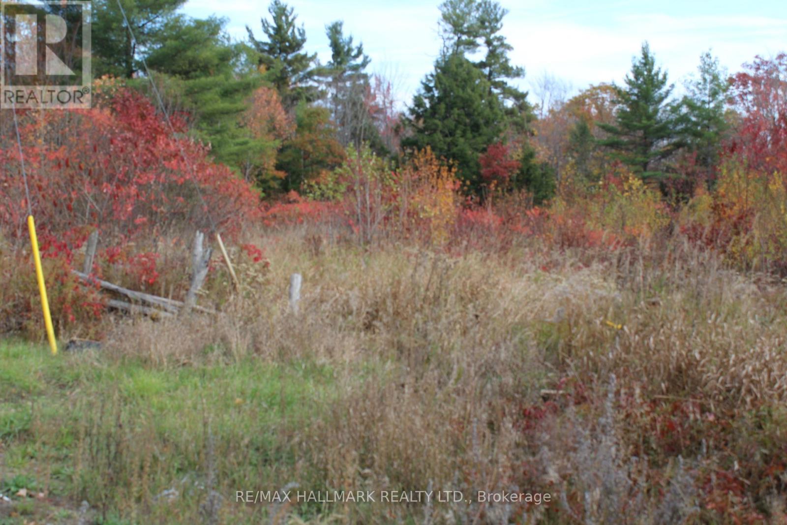 2269 Henderson Road, Frontenac, Ontario  K0H 1B0 - Photo 45 - X12473503