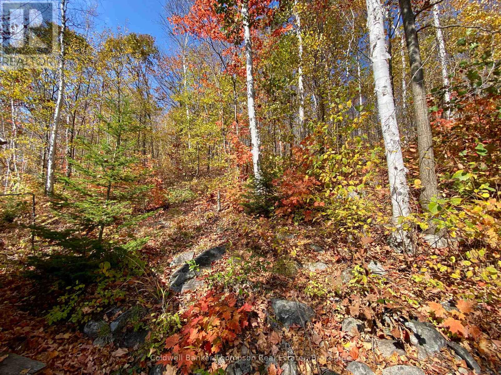 0 Little Long Lake S, Parry Sound Remote Area, Ontario  P0H 1S0 - Photo 17 - X12477086