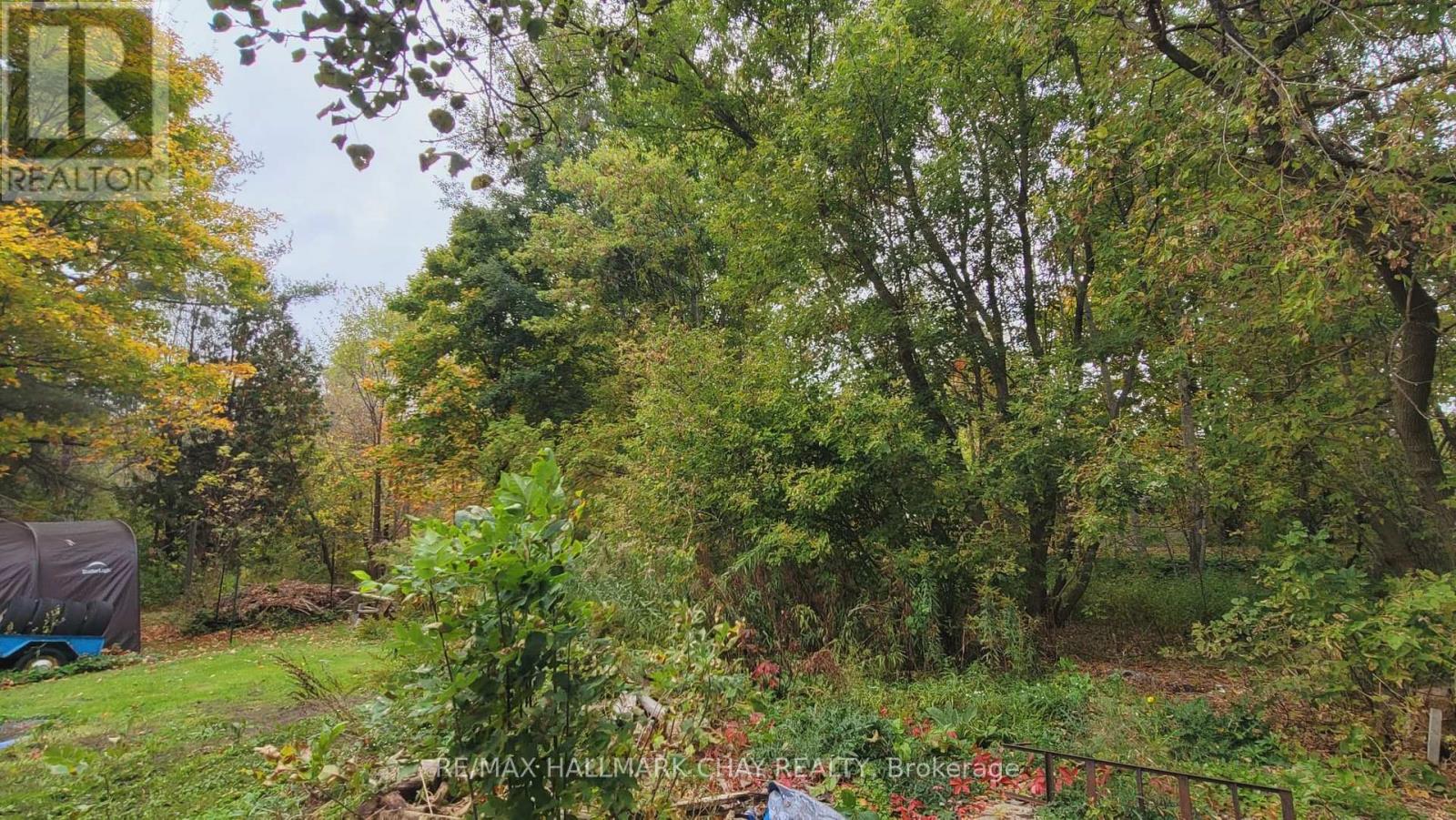 14189 12 Highway, Tay, Ontario  L0K 2C0 - Photo 17 - S12476953