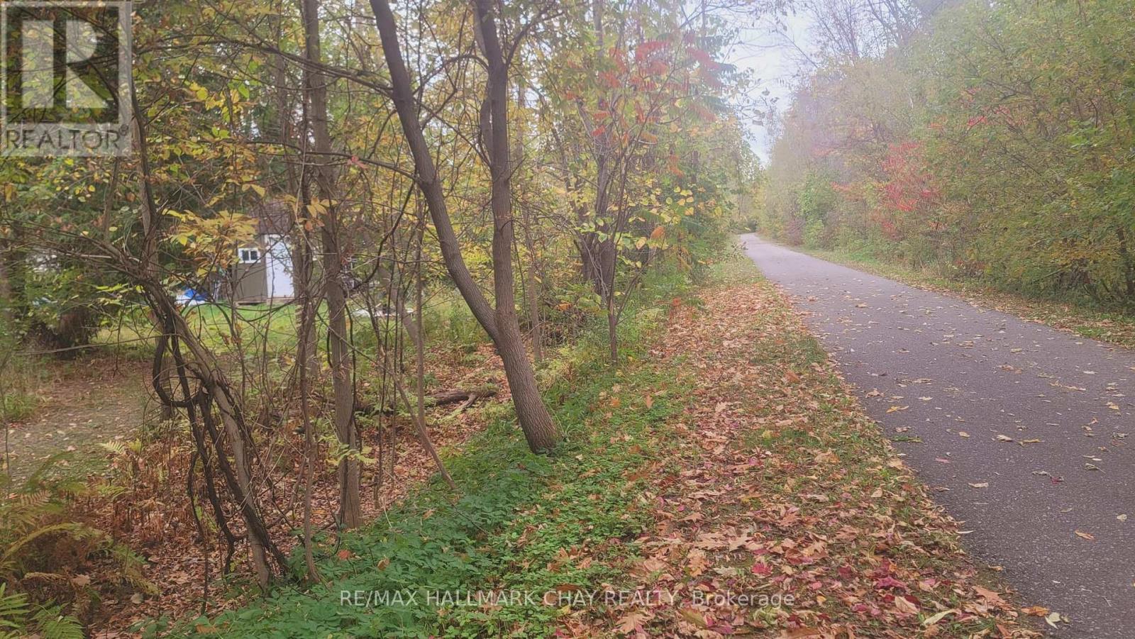 14189 12 Highway, Tay, Ontario  L0K 2C0 - Photo 20 - S12476953