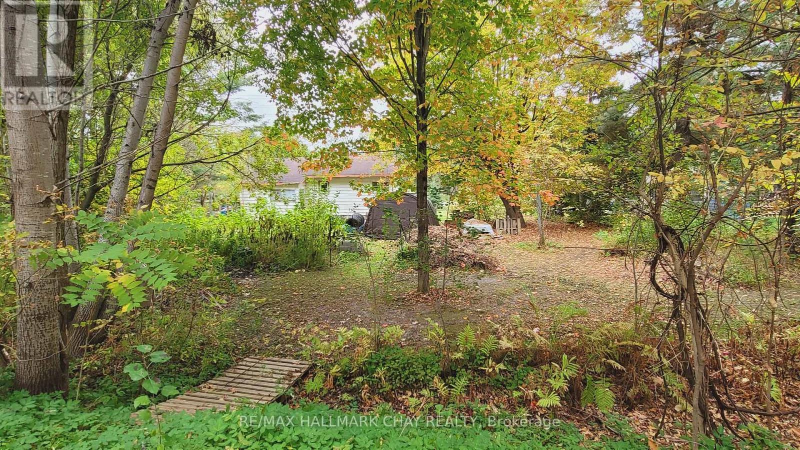 14189 12 Highway, Tay, Ontario  L0K 2C0 - Photo 3 - S12476953