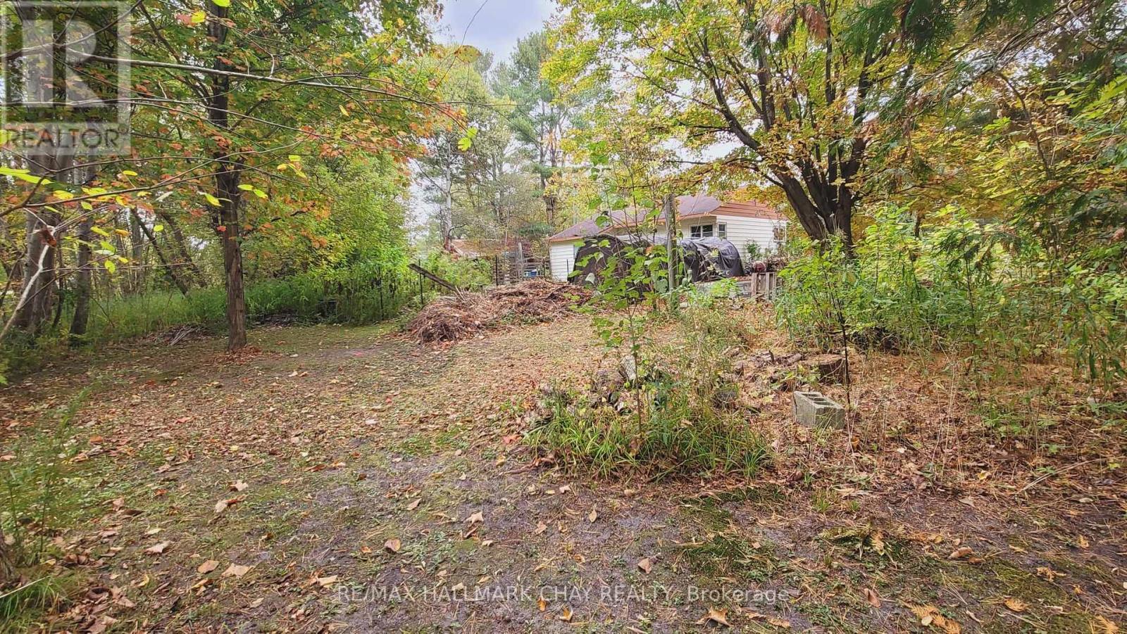 14189 12 Highway, Tay, Ontario  L0K 2C0 - Photo 4 - S12476953